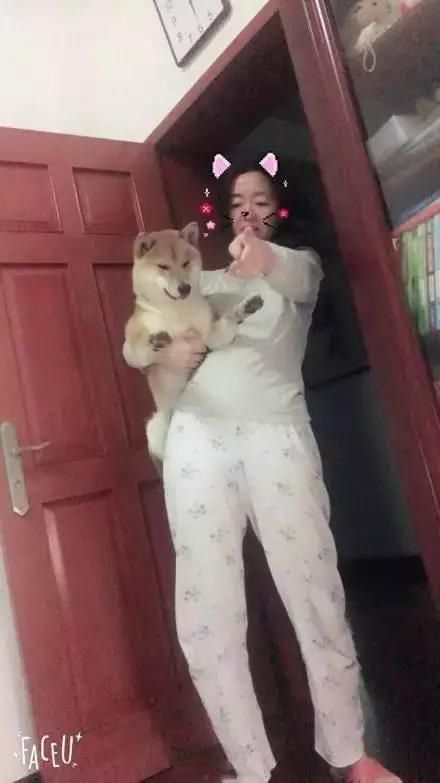 軟板廠之爸媽，我真的是你們親生的嗎？