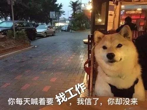 招聘 | 這是一道送錢題，有膽你就來(lái)！